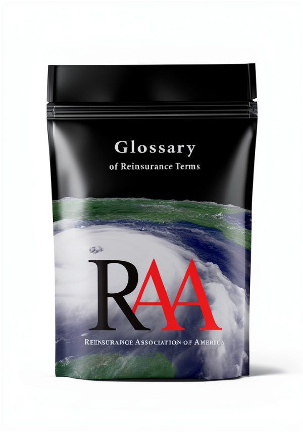 Reinsurance Association of America Property Insurance Guide Kindle-0