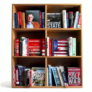 Political Linguistics Kindle eBook by The New Press - 523 Page Guide-0